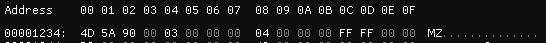 Hex editor view with its base address changed to 0x1234